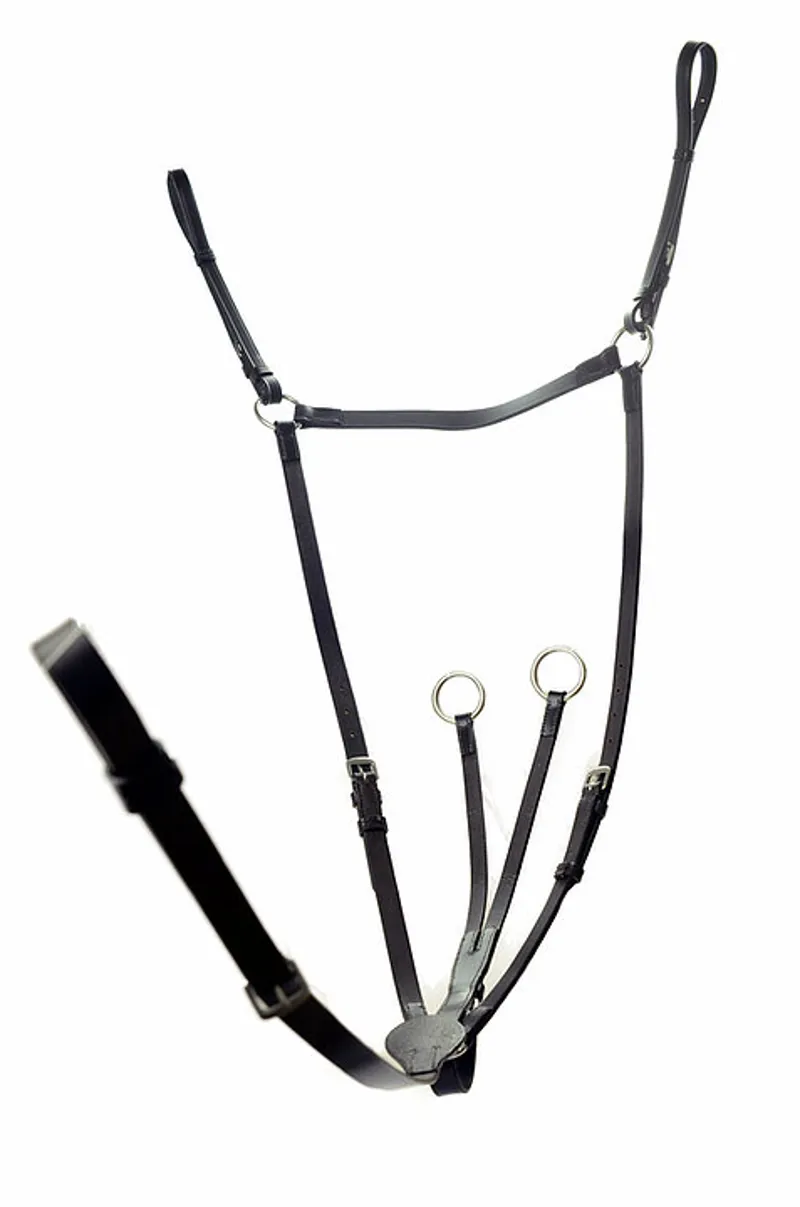 Dever Ascot Breastplate + Martingale Attachment Black